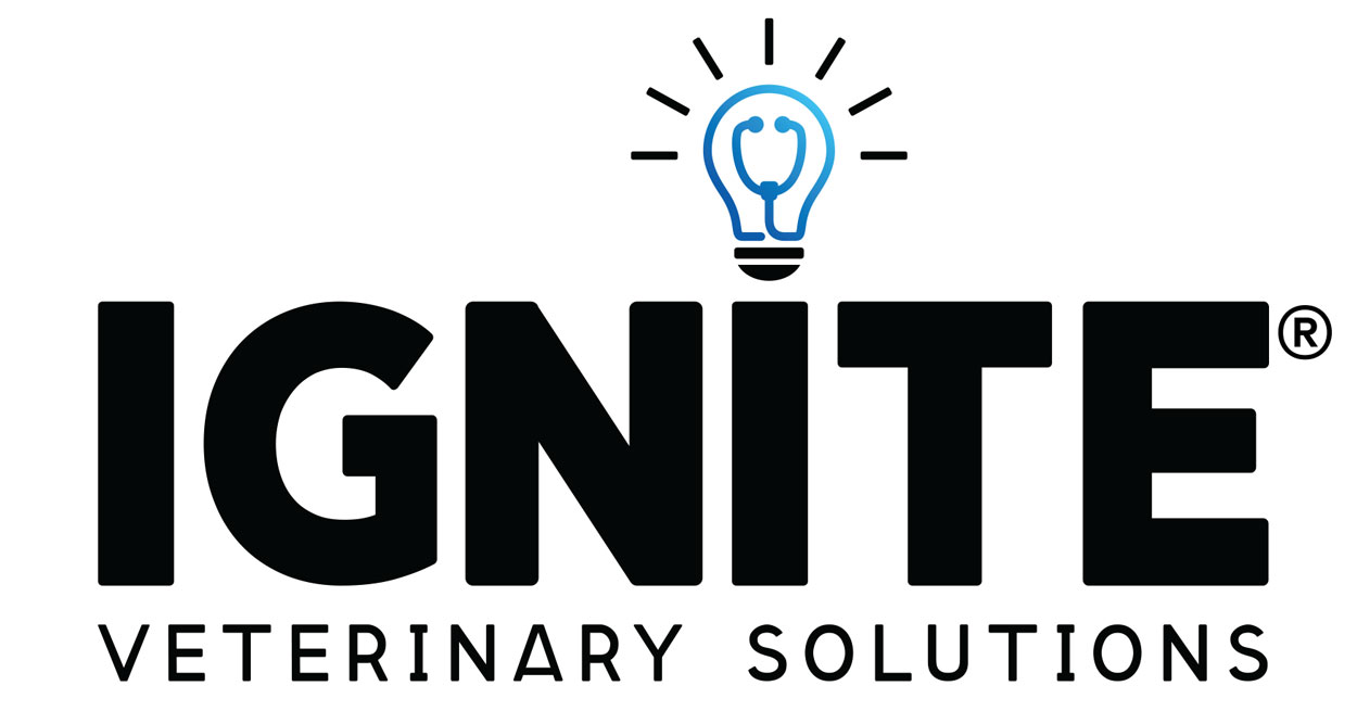 IGNITE_Website_Thumbnail